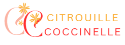 Citrouille Coccinelle